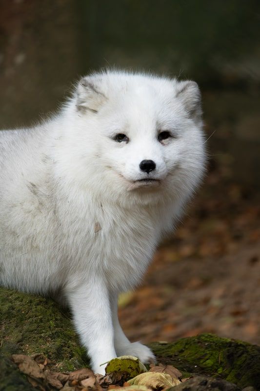 2025-09 Instant Photo